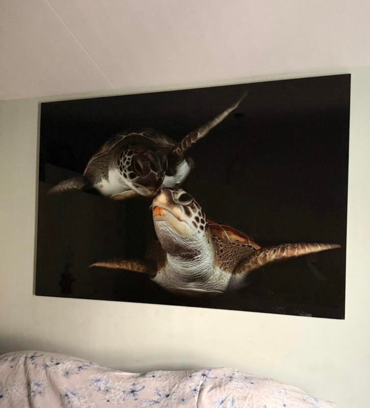 Plexiglas schilderij 180x120cm, Ophalen