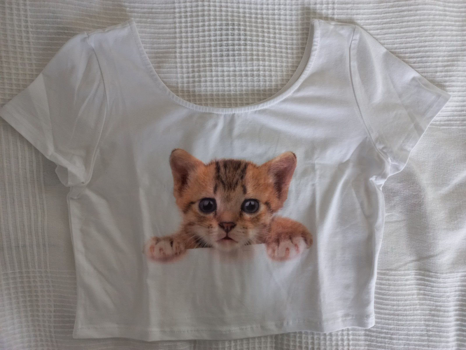 kort T-shirt met afbeelding poes, kleine maat L, Wit, Maat 42/44 (L), Ophalen of Verzenden, Zo goed als nieuw
