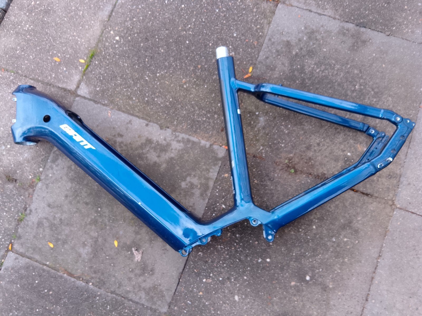 Giant Carbon Met. blauw E-bike Frame, Minder dan 47 cm, Ophalen, Zo goed als nieuw, Giant