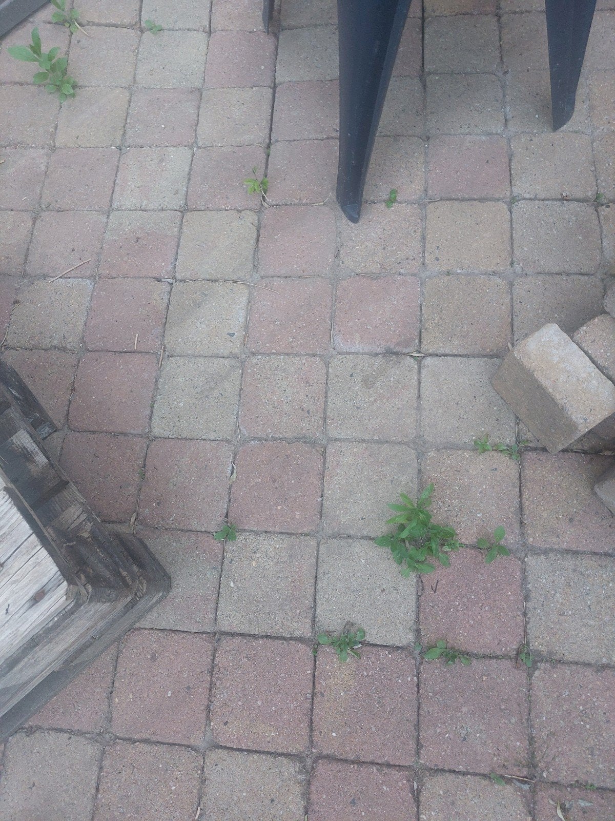 Gratis tuintegels / trommelstenen, Tuin en Terras, Tegels en Klinkers, Ophalen, Gebruikt, Beton, Terrastegels