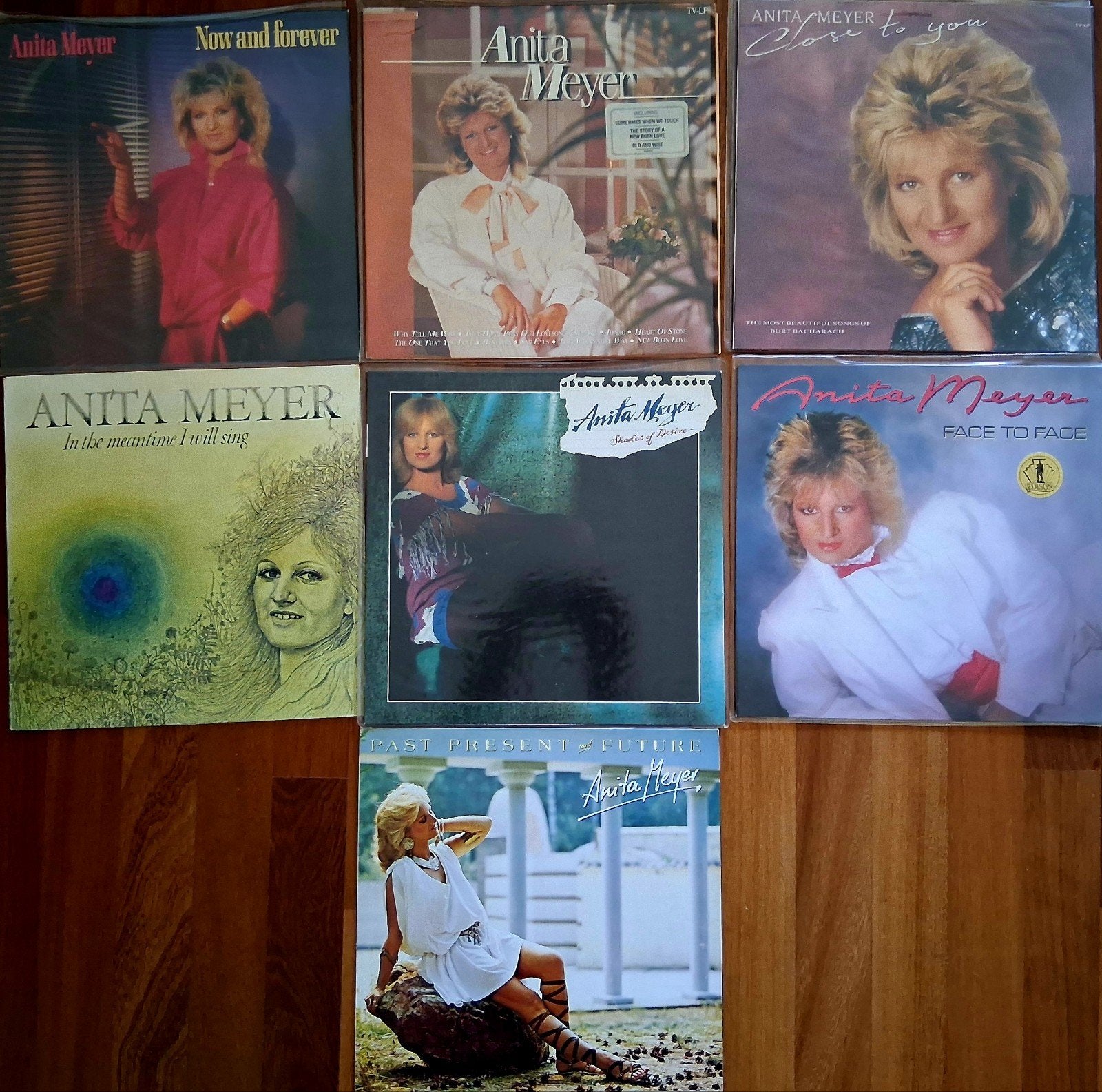 Partij Anita Meyer – 7 Vinyl LP's (Inclusief Hits & Albums), LP, Gebruikt, Pop, Ophalen of Verzenden