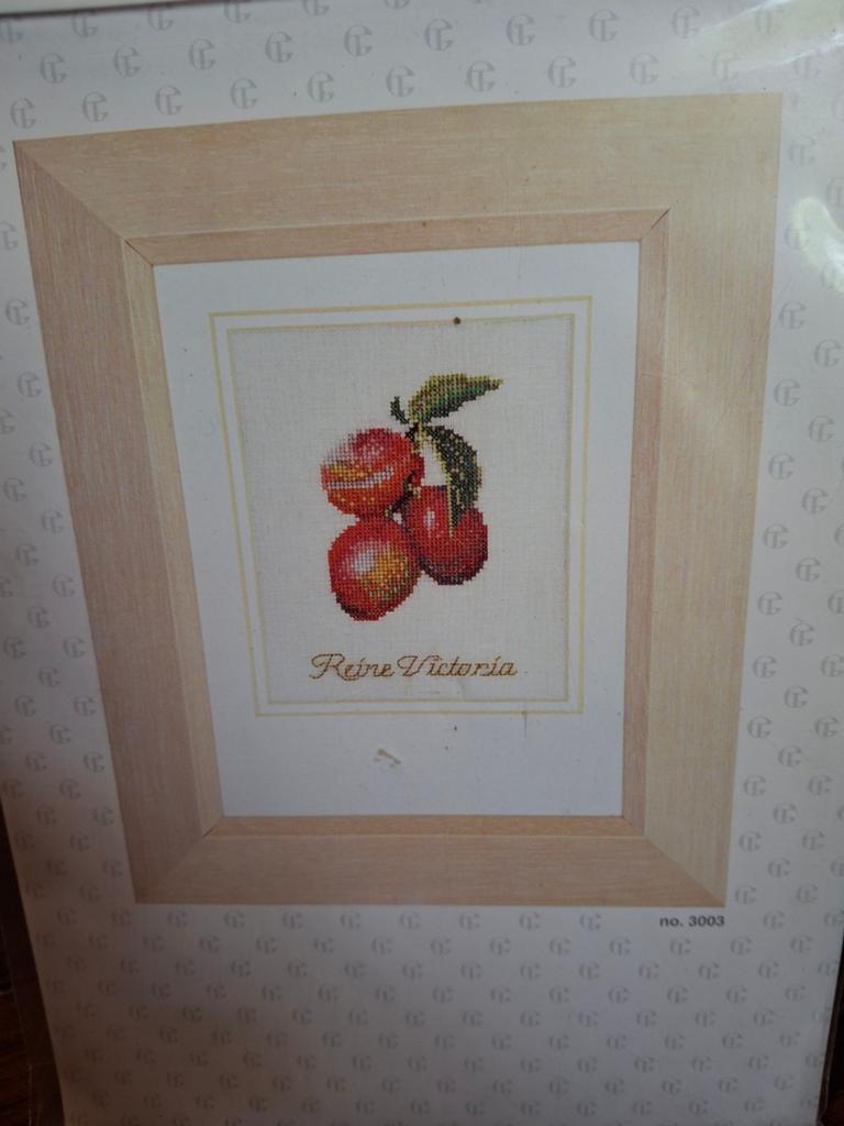 Pruim, Ophalen of Verzenden, Nieuw, Borduurpakket
