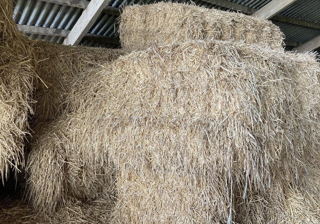 stropakken, Dieren en Toebehoren, Ophalen, Vee