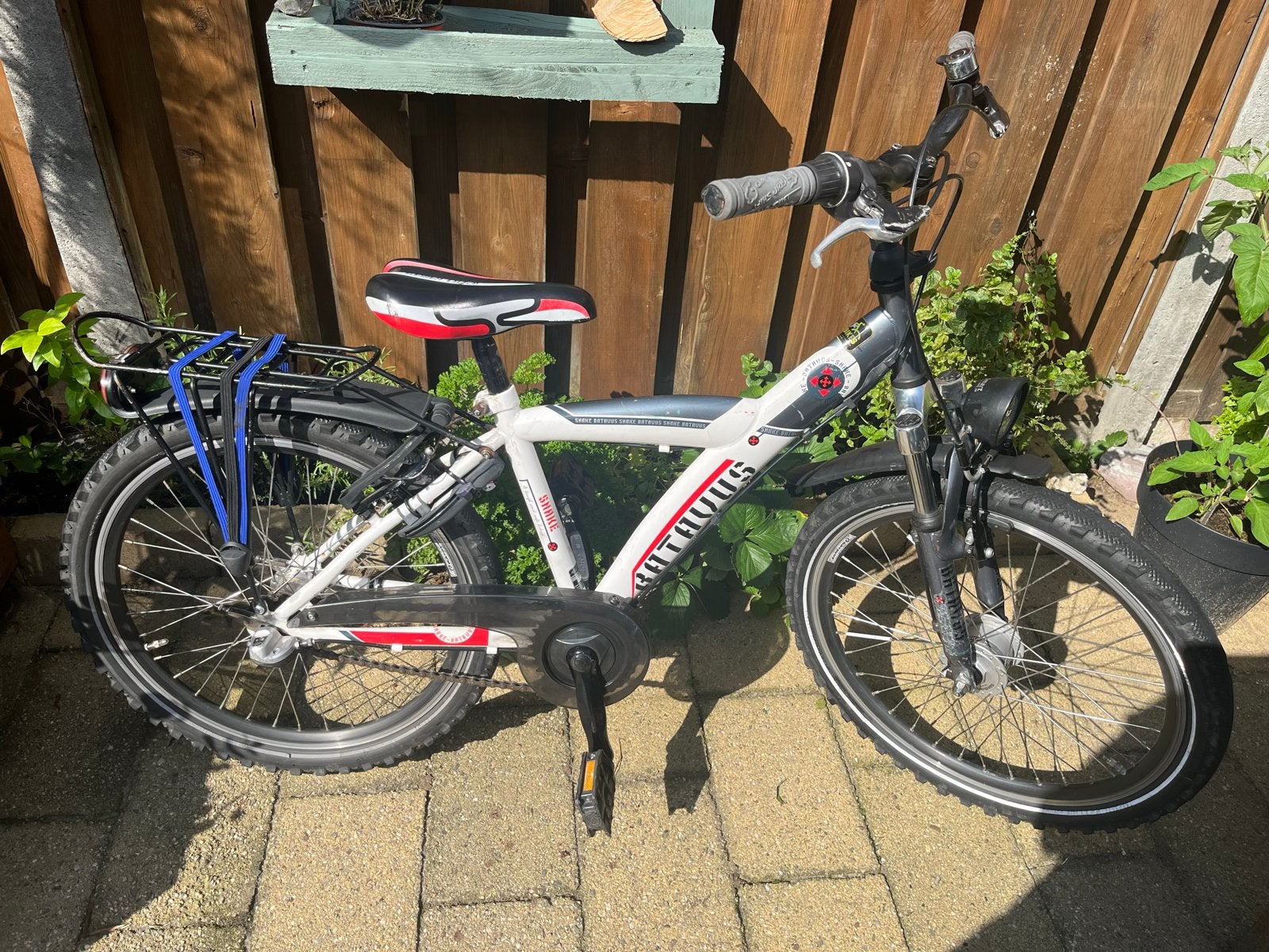 Stoere Batavus Snake 22 inch kinderfiets met naafdynamo, Fietsen en Brommers, Ophalen, Gebruikt, 20 inch of meer