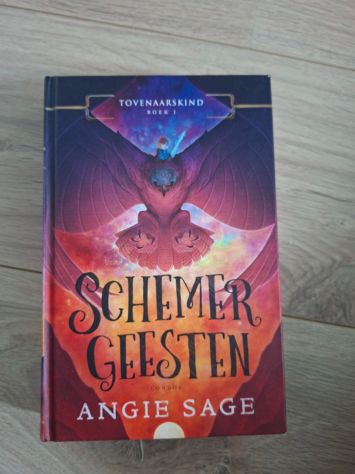 Toveraarskind Boek 1: Schemergeesten - Angie Sage, Boeken, Ophalen, Zo goed als nieuw, Angie Sage, Fictie