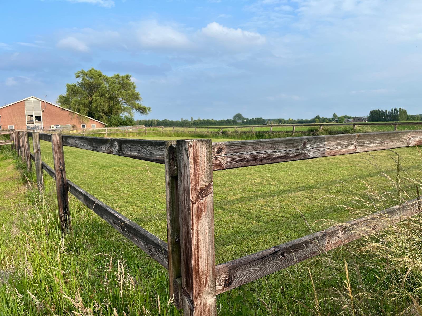 Paardenbak hekwerk omheining poort carboleum, Weidegang, 4 paarden of pony's of meer