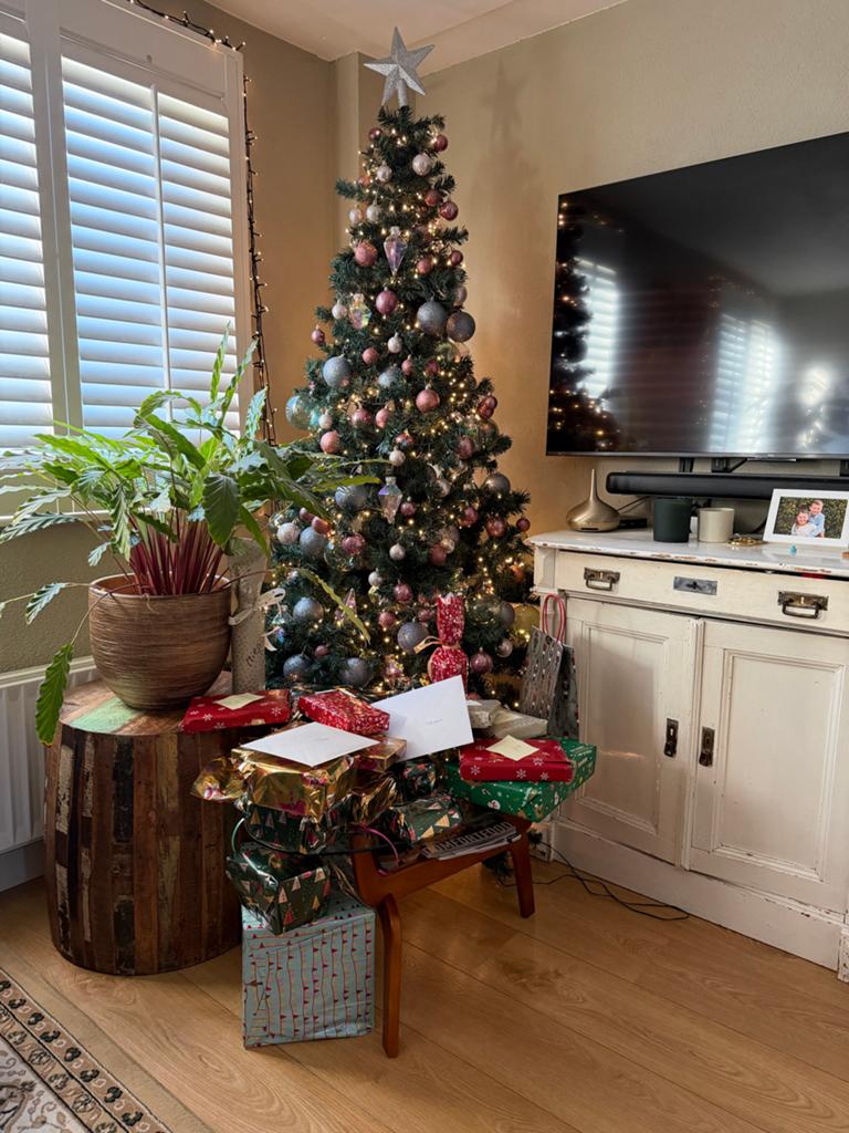 Kerstboom incl versieringen, Diversen, Kerst, Ophalen
