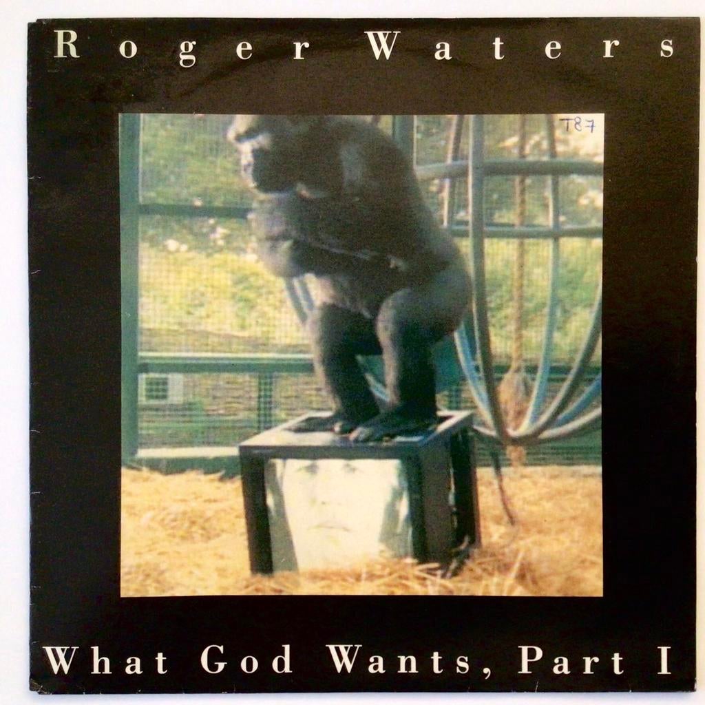 Roger Waters ( Pink Floyd ) - What God wants, part 1, Ophalen of Verzenden, Zo goed als nieuw, Pop