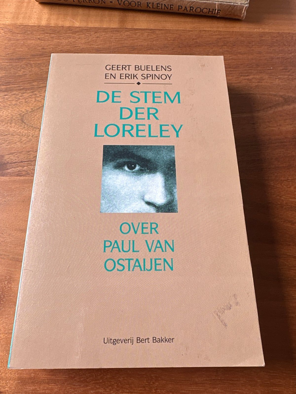 De Stem Der Loreley - Over Paul van Ostaijen, Boeken, Ophalen of Verzenden, Zo goed als nieuw, Nederland