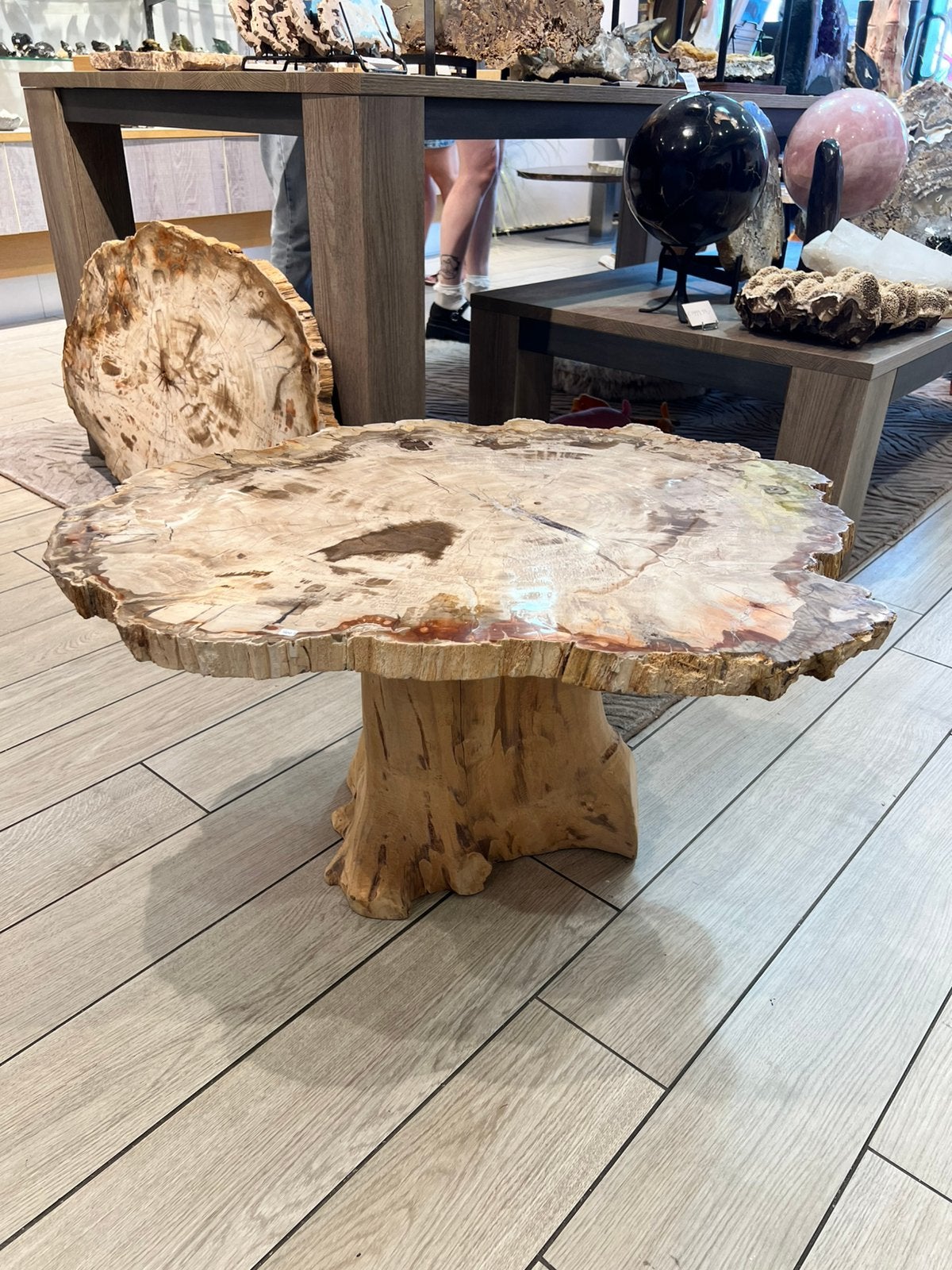salontafel van versteend hout uit Madagaskar met amethist, Ophalen of Verzenden