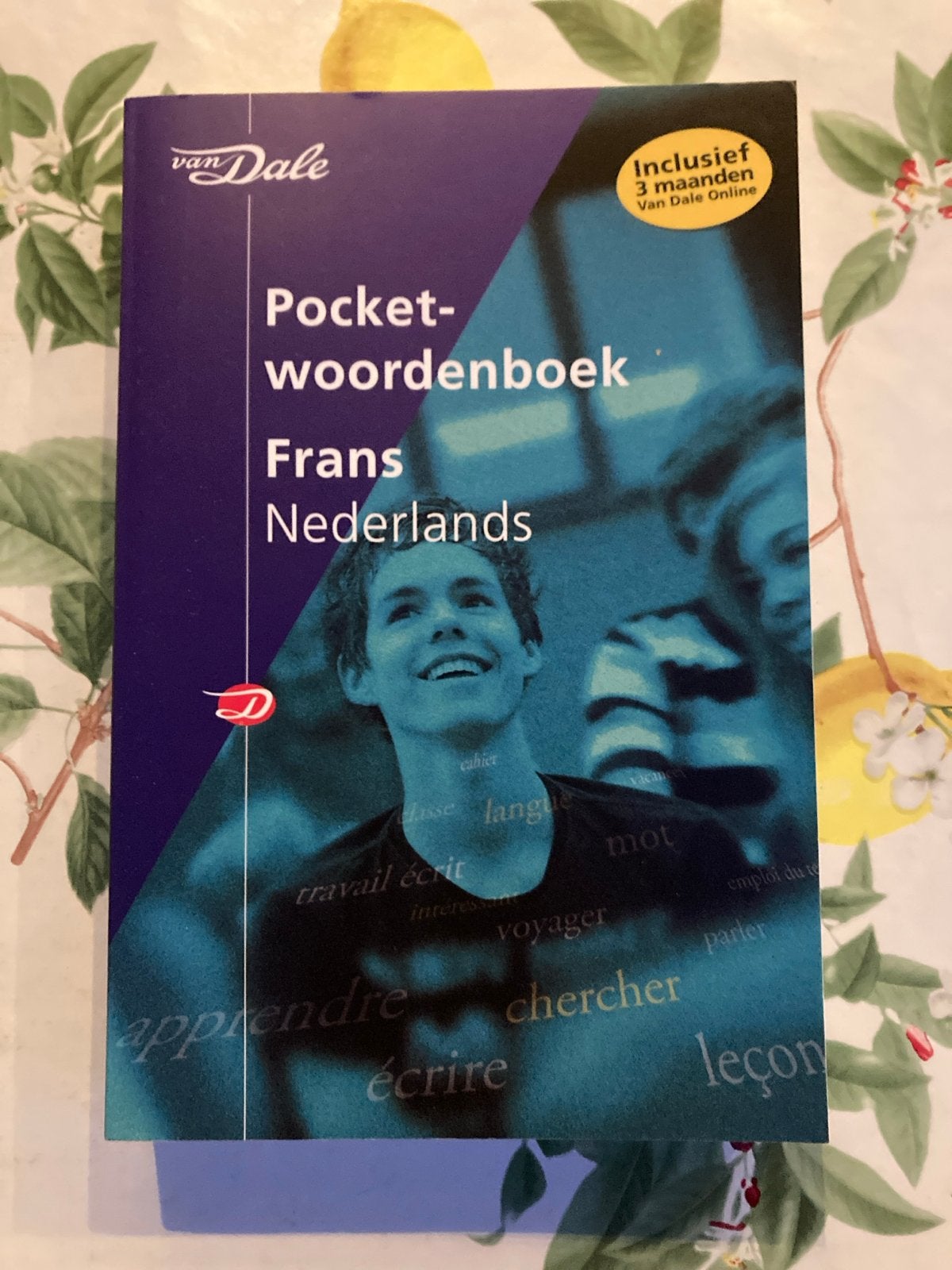 Aa Van Dale Pocketwoordenboek Frans-Nederlands, Boeken, Woordenboeken, Frans, Ophalen of Verzenden, Zo goed als nieuw, Van Dale