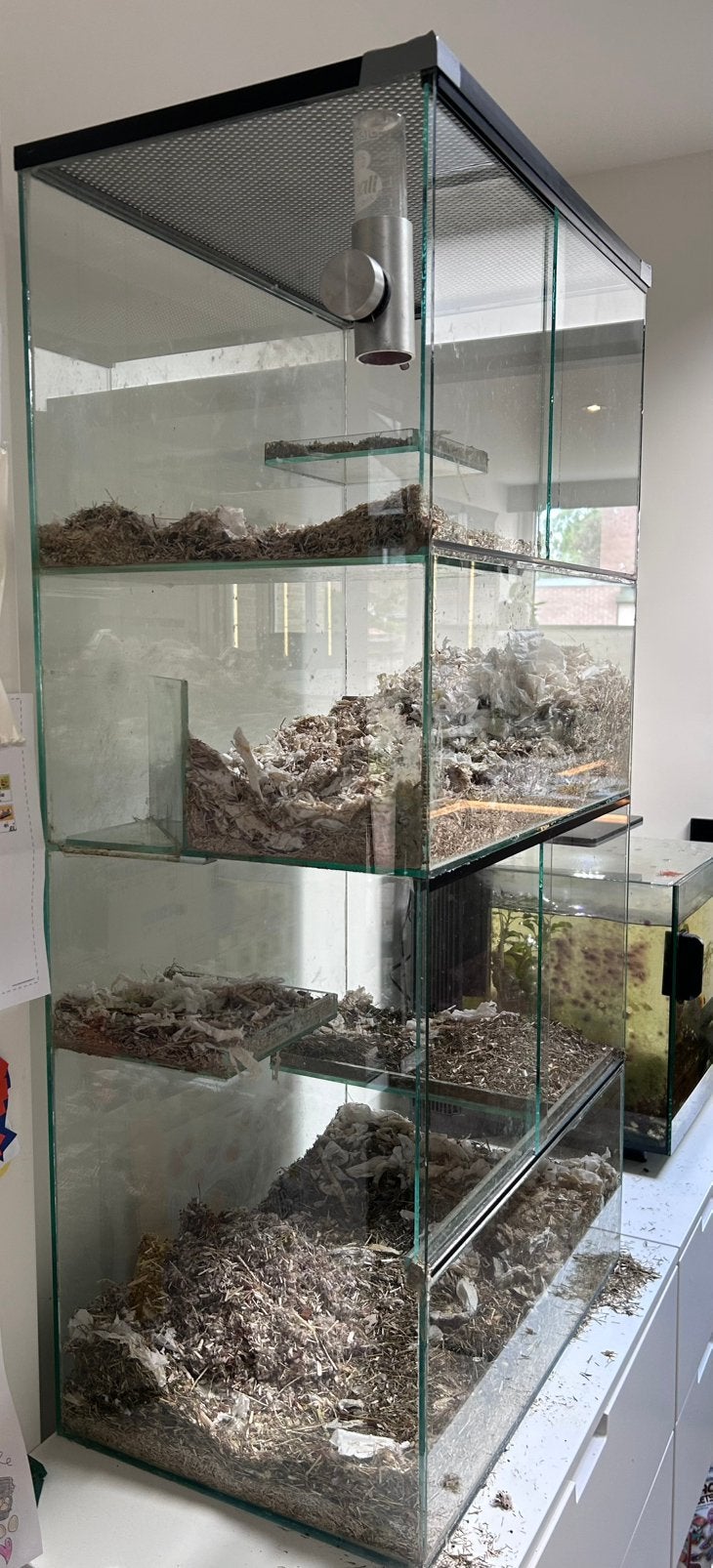 Terrarium knaagdierkooi ratten muizen reptielen verblijf, Dieren en Toebehoren, Ophalen, Gebruikt, Minder dan 75 cm, 90 cm of meer