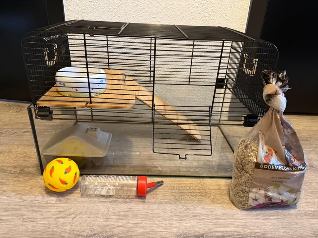 Hamsterkooi glas, Kooi, Gebruikt, Minder dan 75 cm, Hamster