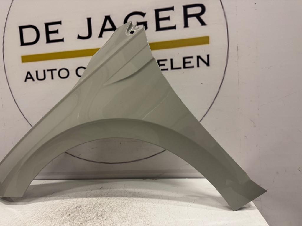 VOLKSWAGEN POLO 2G VOORSCHERM SPATBORD LINKS 2G0821105, Gebruikt, Volkswagen, Volkswagen AG, Voor