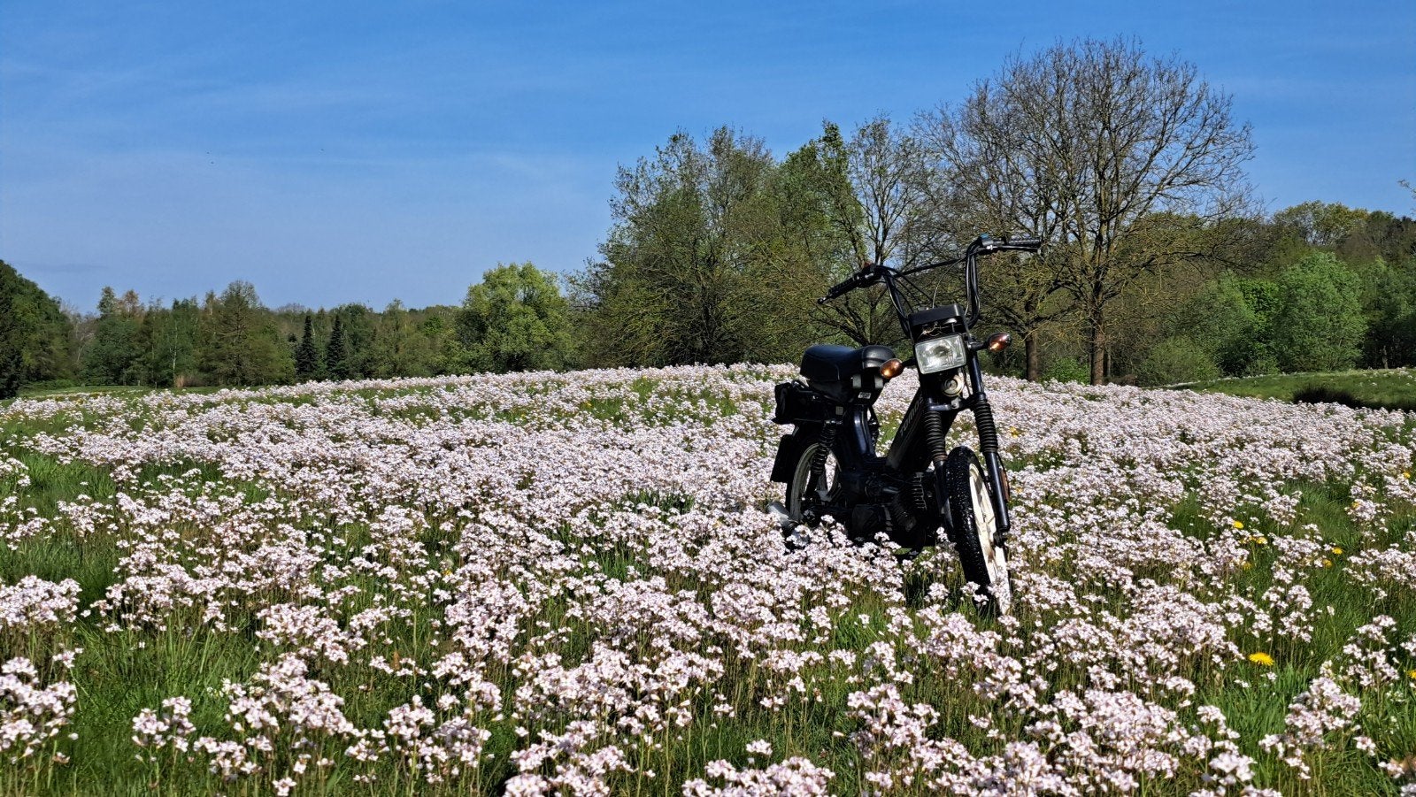 tomos a35 project/opknapper, Ophalen, Gebruikt, 2 versnellingen, 50 cc