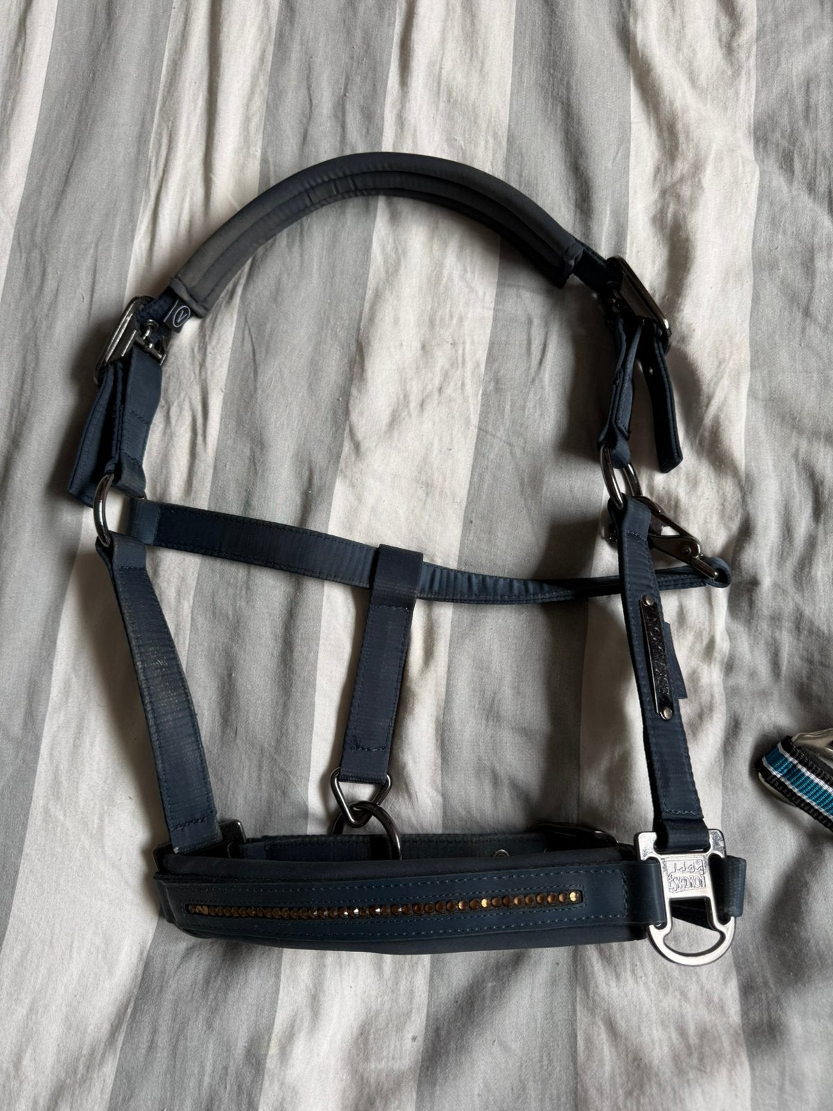halsters maat Cob, Ophalen, Overige soorten
