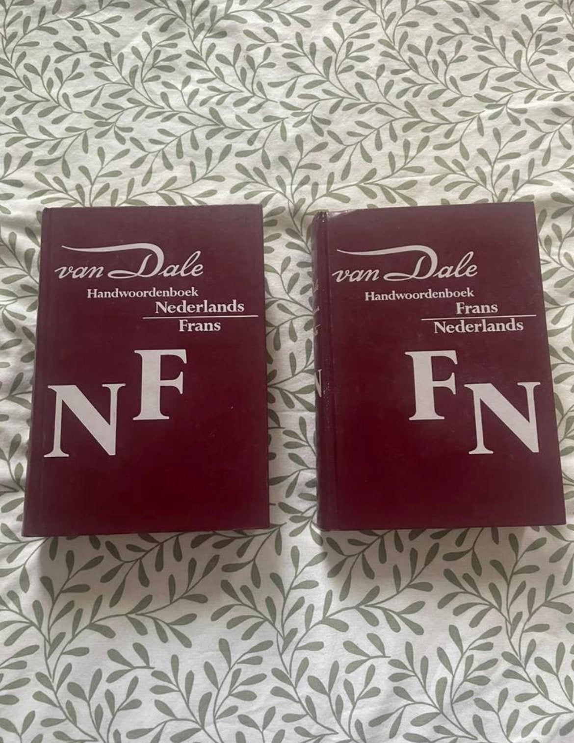 Grote van dale woordenboeken N-F F-N, Boeken, Woordenboeken, Ophalen of Verzenden, Zo goed als nieuw