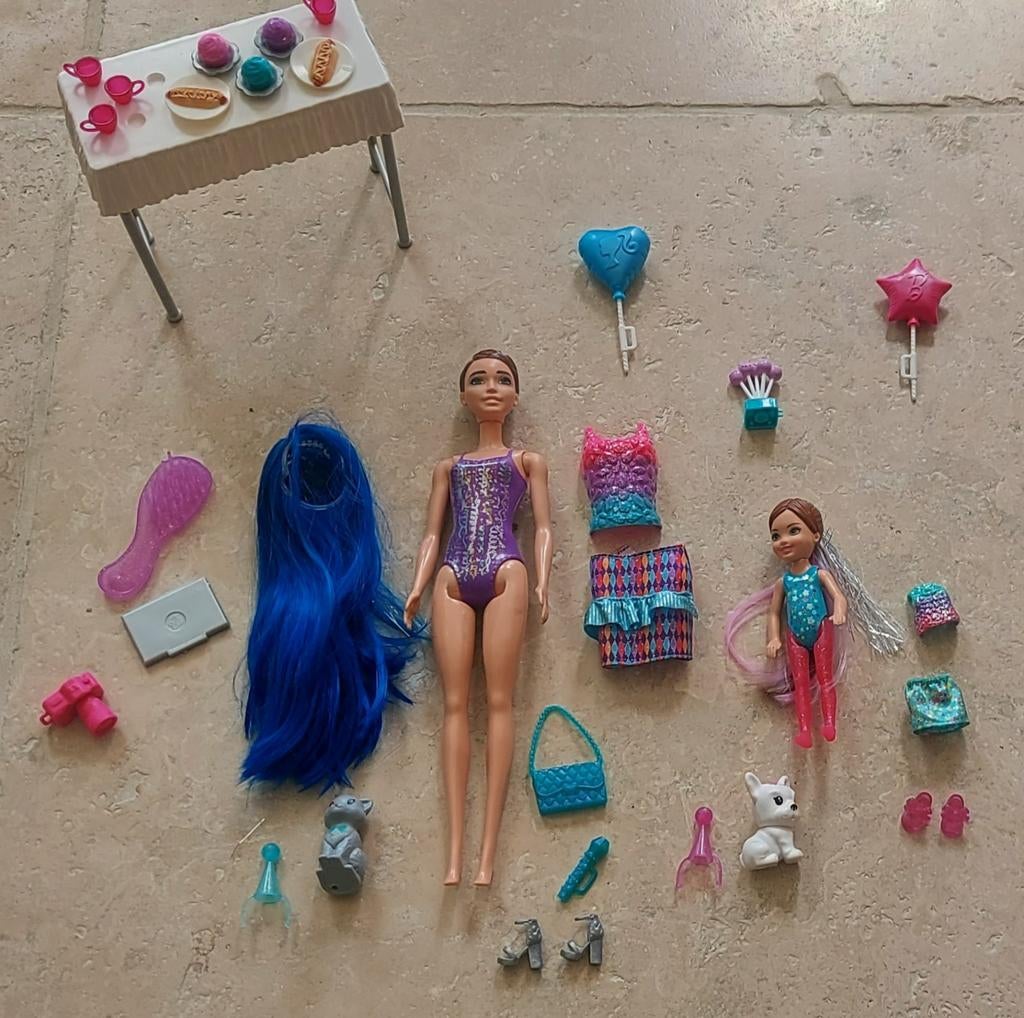 Barbie en Chelsea poppen met accessoires, Ophalen of Verzenden, Gebruikt, Barbie