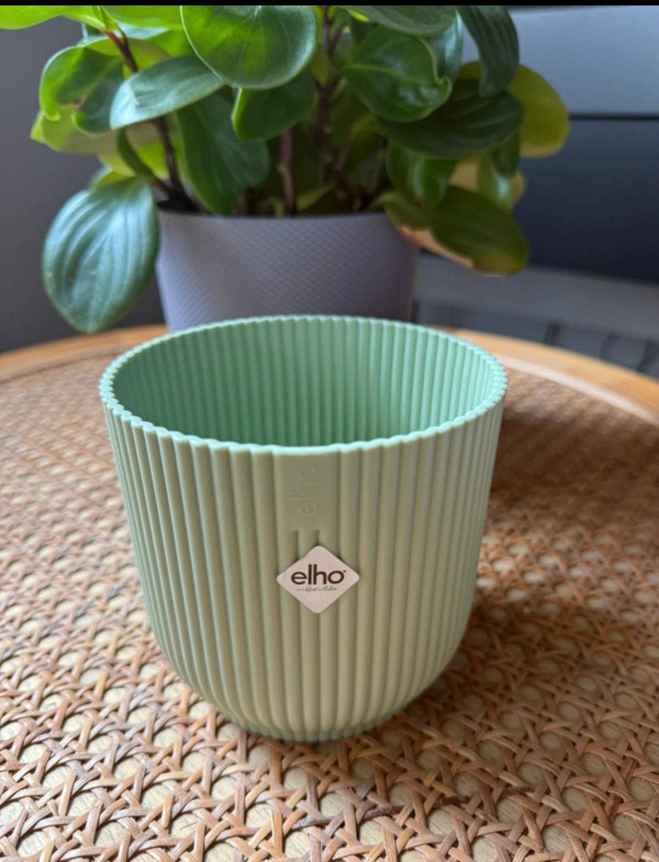 Nieuwe ELHO bloempot mint groen, Kunststof, Rond, Nieuw, Ophalen of Verzenden