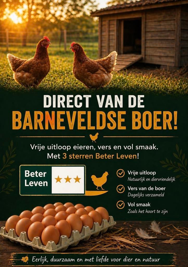 Verse Vrije Uitloop Eieren - 3 Sterren Beter Leven, Diversen, Levensmiddelen, Ophalen of Verzenden