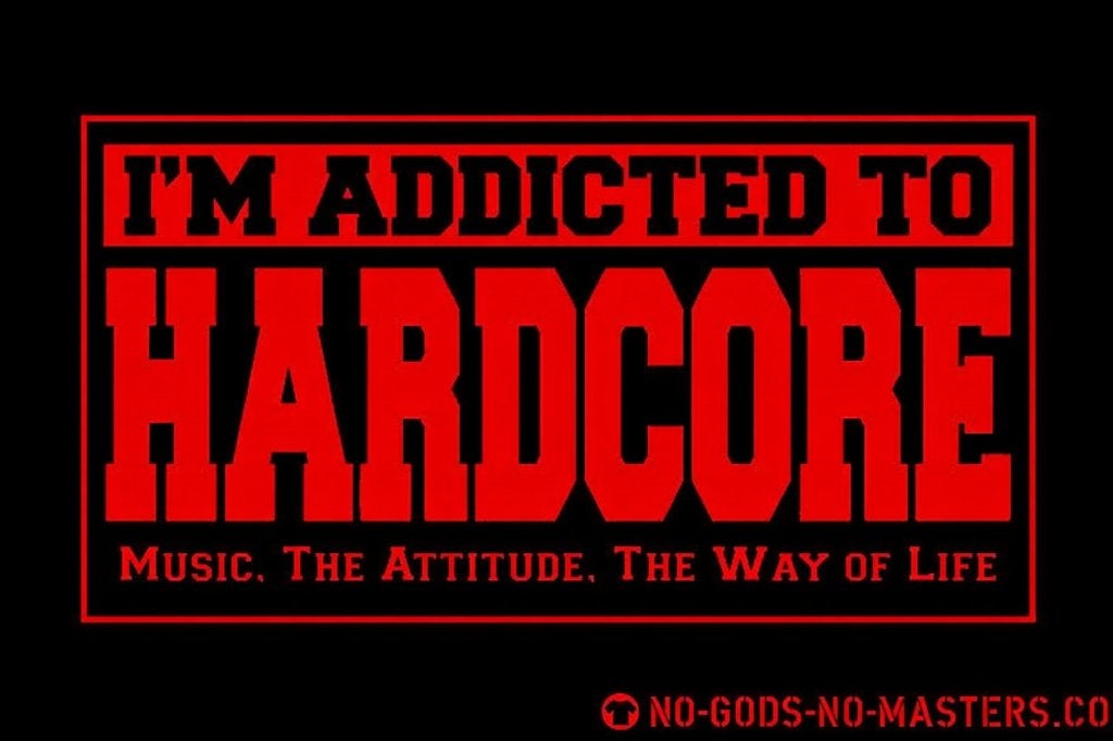 GEZOCHTcheap hardcore vinyl lees omschrijving-geen handelaar, Cd's en Dvd's, Vinyl | Dance en House, Ophalen, Zo goed als nieuw