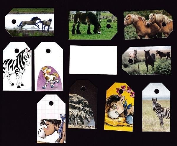 9604) paarden, ezels en zebra's labeltjes, Ophalen of Verzenden, Zo goed als nieuw, Paard, Overige typen