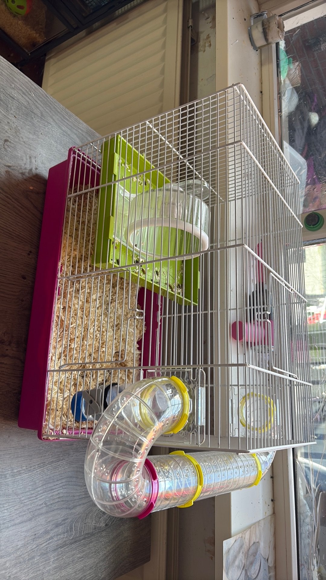 Hamster / muizen kooi (inruil mogelijk), Dieren en Toebehoren, Minder dan 60 cm, Kooi, Minder dan 75 cm, Ophalen of Verzenden
