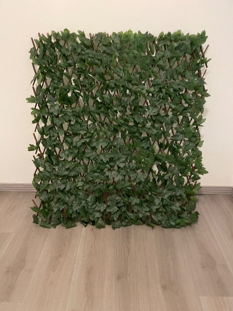 Kunsthaag, Ophalen, Nieuw