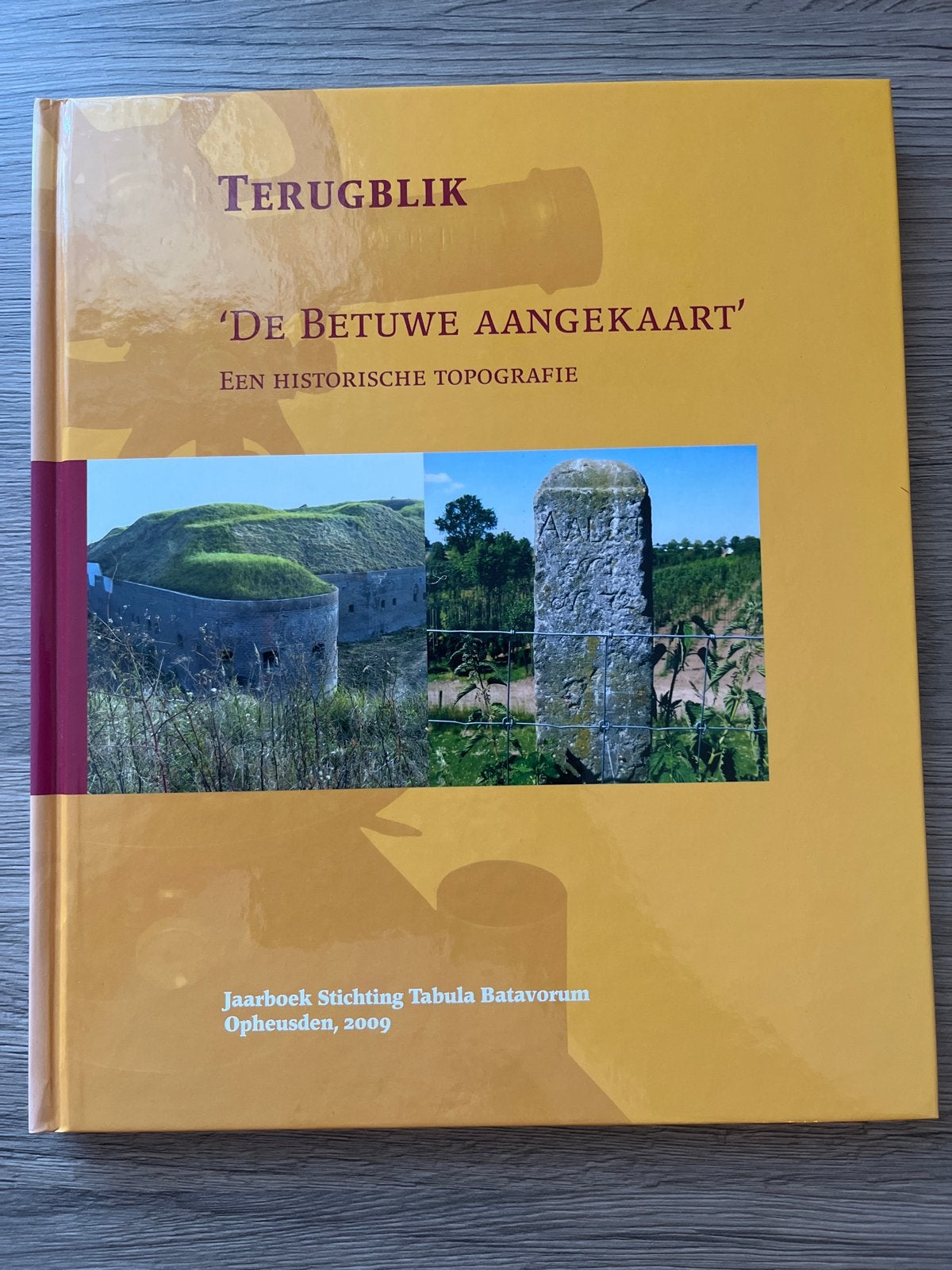 Terugblik 'De Betuwe Aangekaart' - Historische Topografie, Boeken, Ophalen of Verzenden, 20e eeuw of later, Zo goed als nieuw