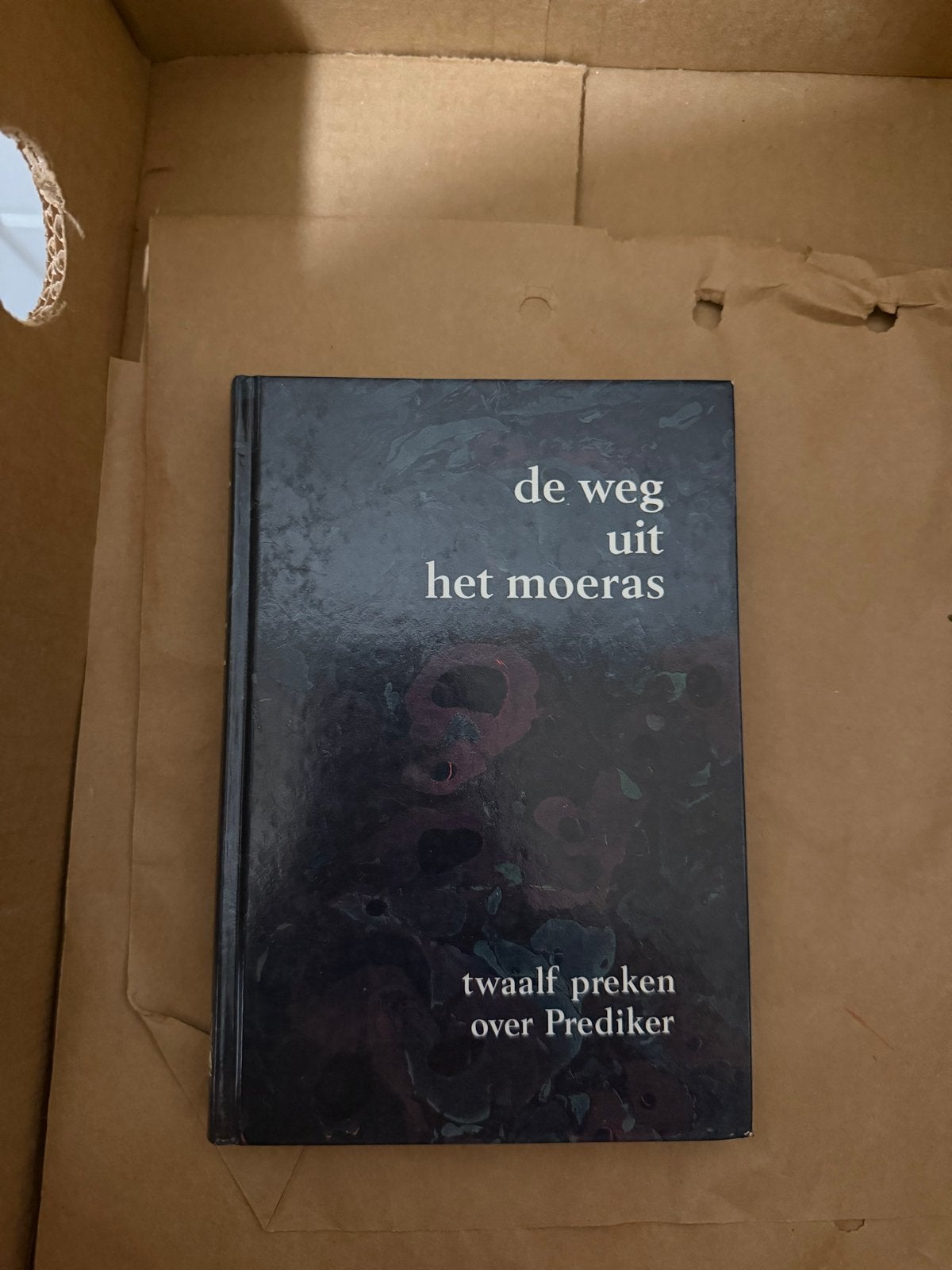 De Weg Uit Het Moeras - Twaalf Preken over Prediker, Ophalen, Gelezen, Christendom | Protestants