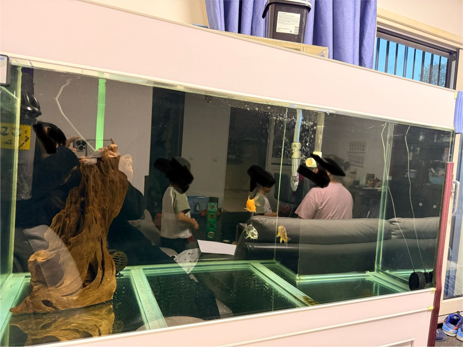 Aquarium met filtersysteem, luchtpomp en 3 koi, Dieren en Toebehoren, Ophalen, Inclusief vissen, Gebruikt, Leeg aquarium