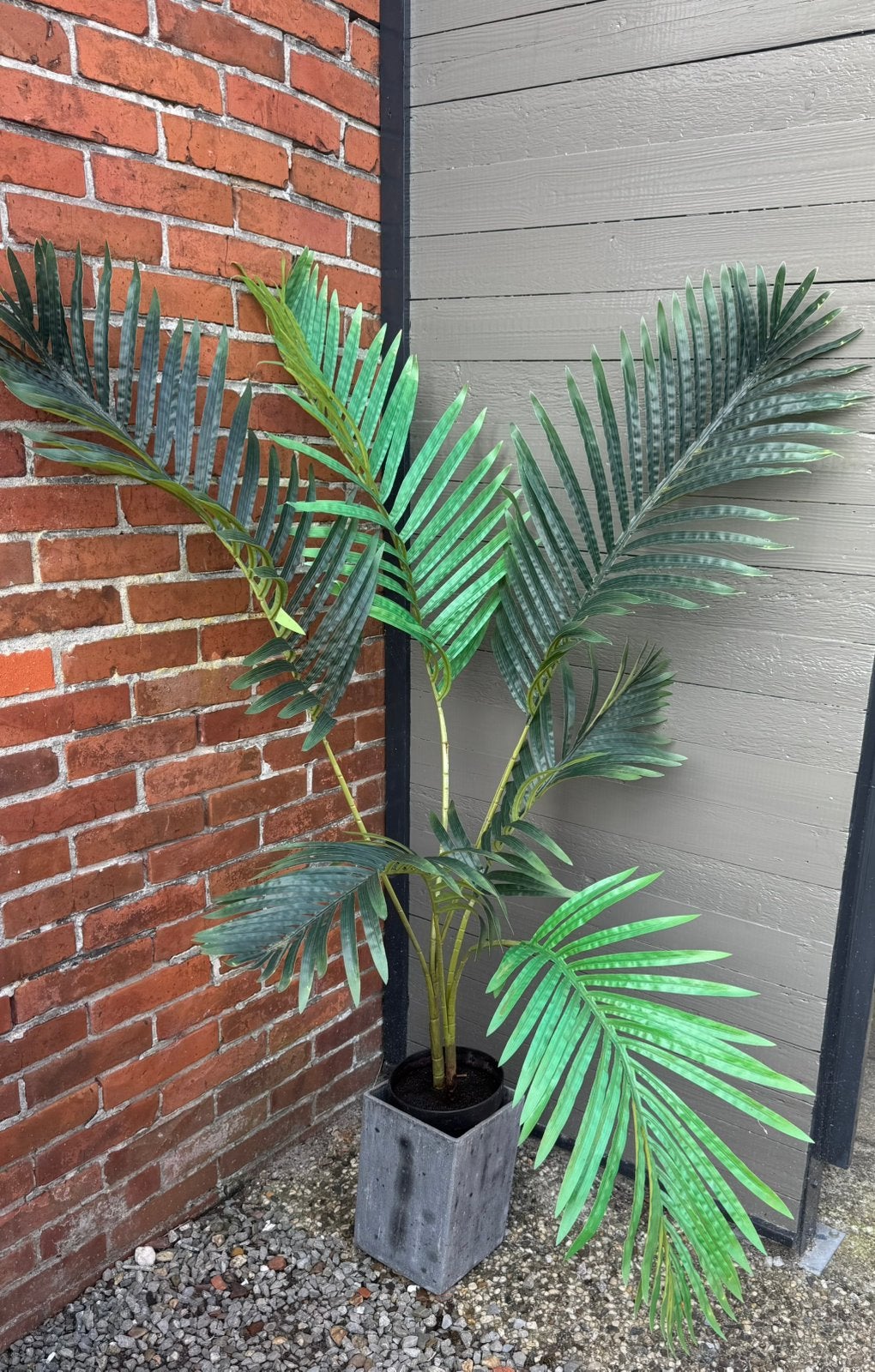 Kunstplant/kunstpalm, Tuin en Terras, Ophalen, Volle zon, Overige soorten