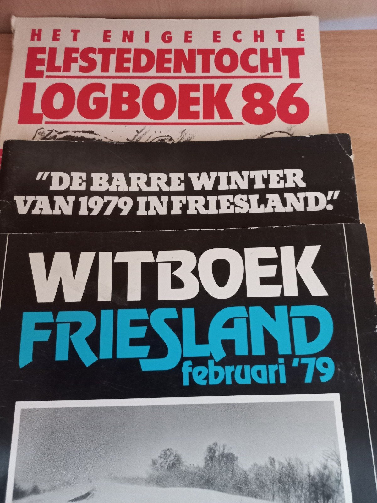 Boeken die over Leeuwarden en Friesland gaan., Boeken, Ophalen of Verzenden, Zo goed als nieuw