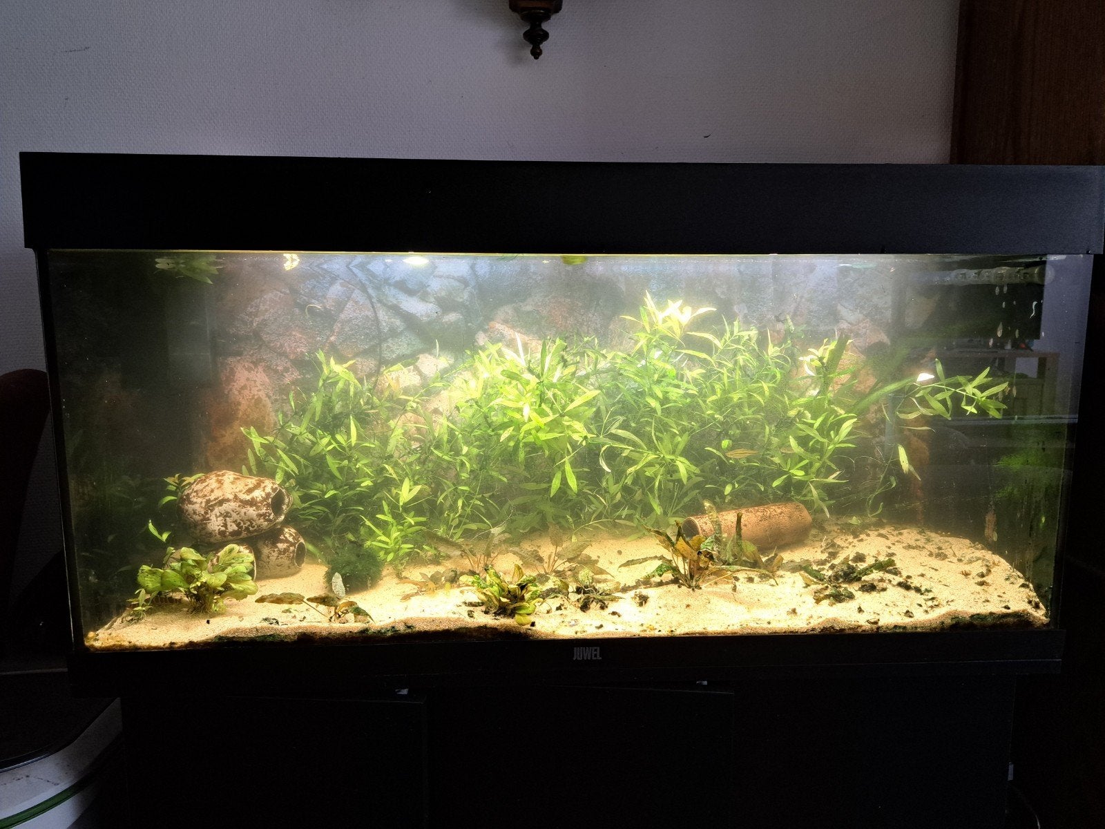 TEAB Juwel Rio 180 incl. onderkast incl. JBL verlichting, Dieren en Toebehoren, Ophalen, Leeg aquarium
