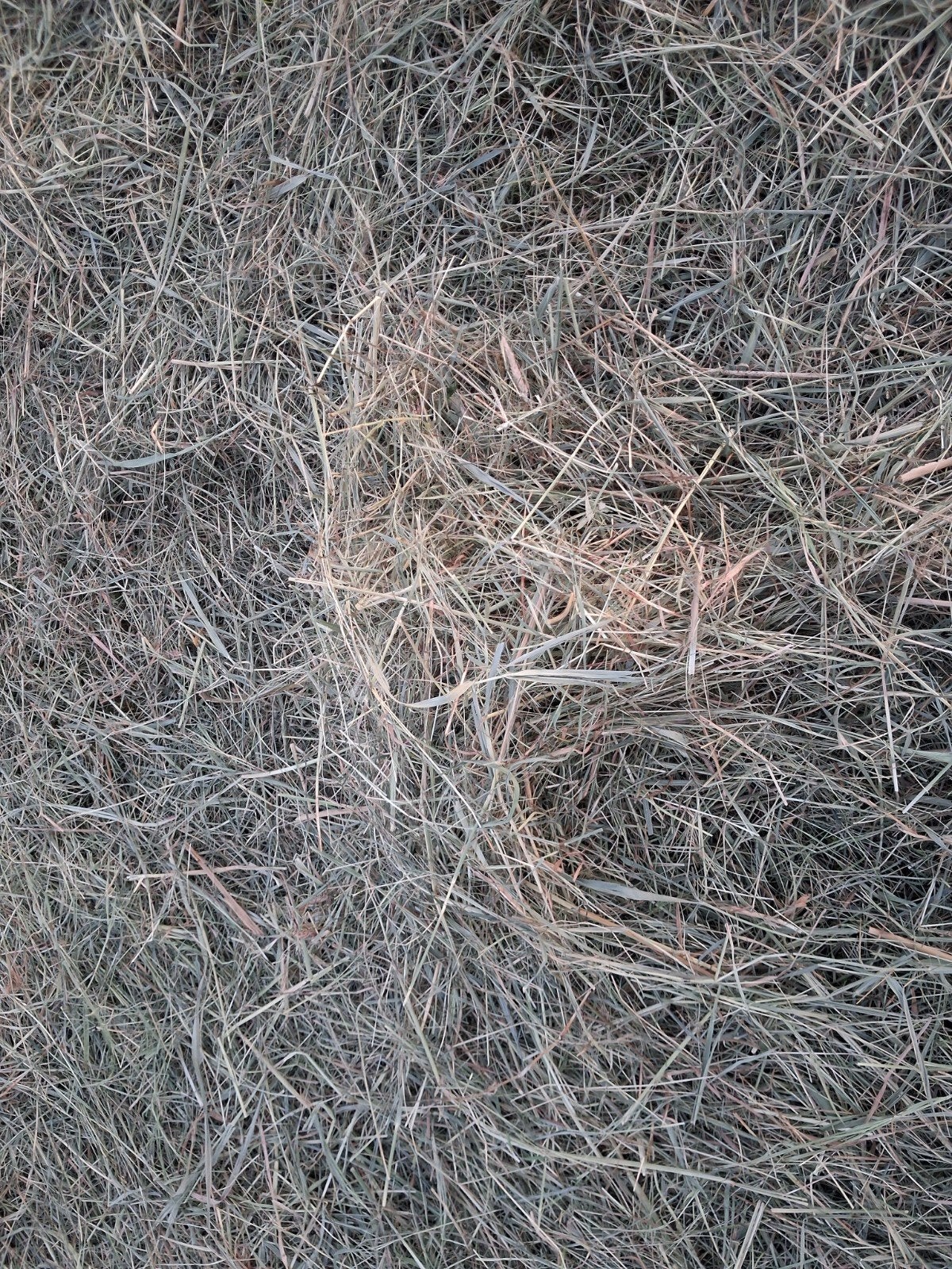 Hooi/kuilgras 3e snede - balen met of zonder folie, Ophalen of Verzenden