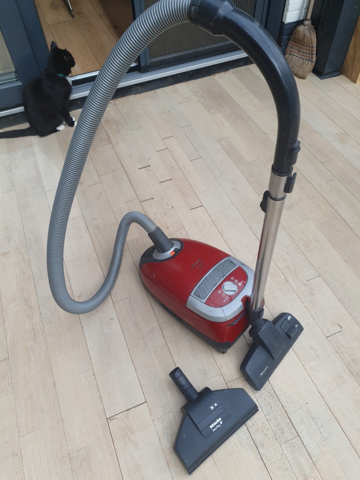 Miele Cat&Dog 5000 stofzuiger, Witgoed en Apparatuur, Gebruikt, Overige typen, Miele, 2000 watt of meer