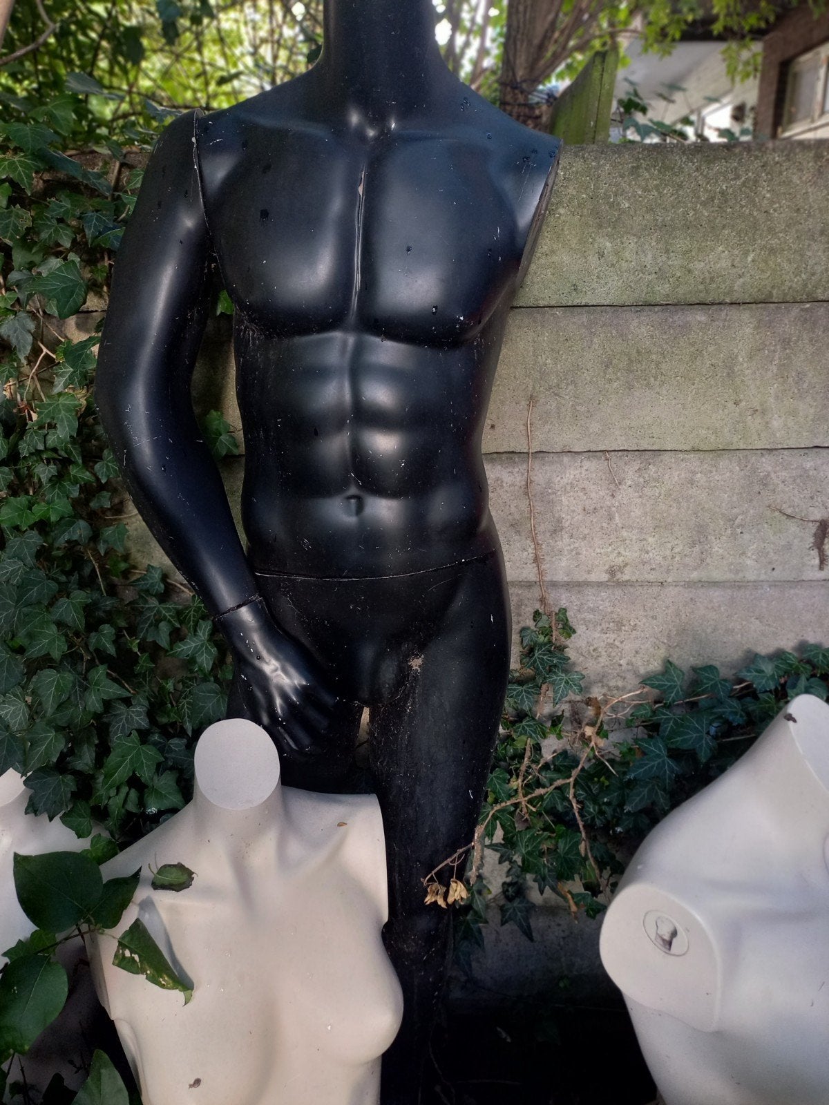pas poppen torso en geheel, Ophalen of Verzenden, Paspop