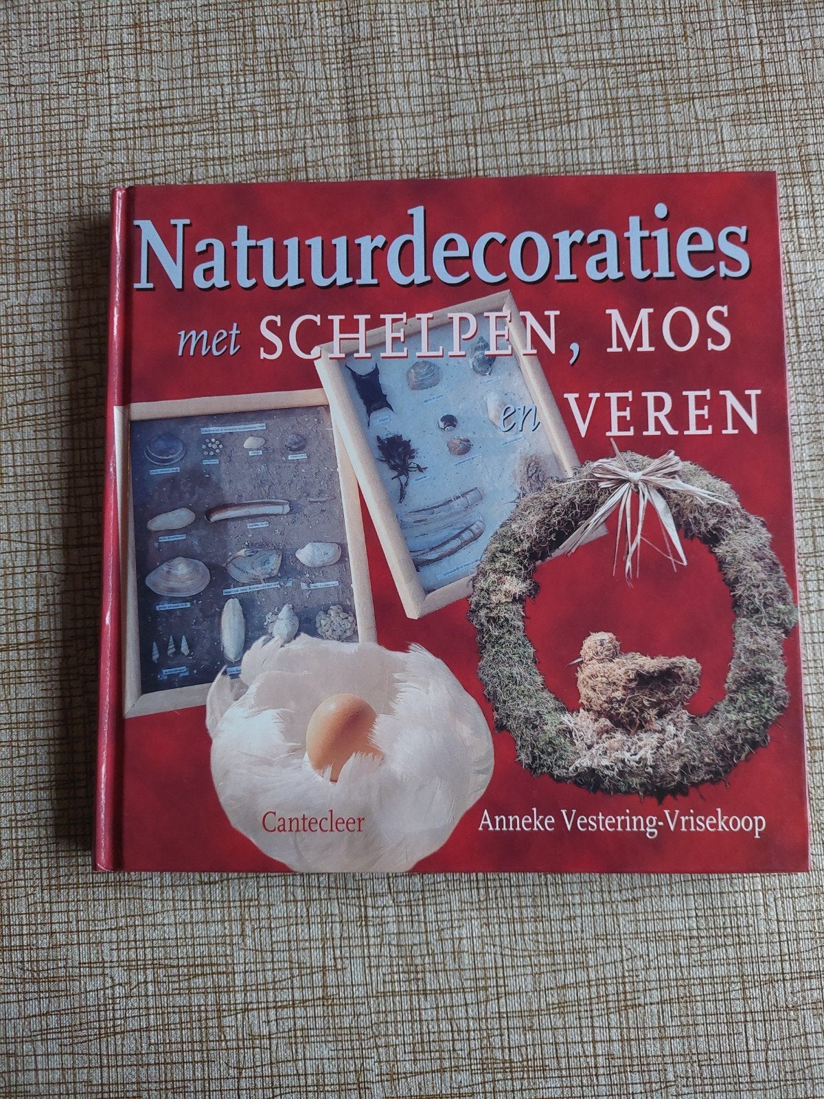Natuurdecoraties met schelpen, mos en veren, Boeken, Ophalen of Verzenden, Nieuw