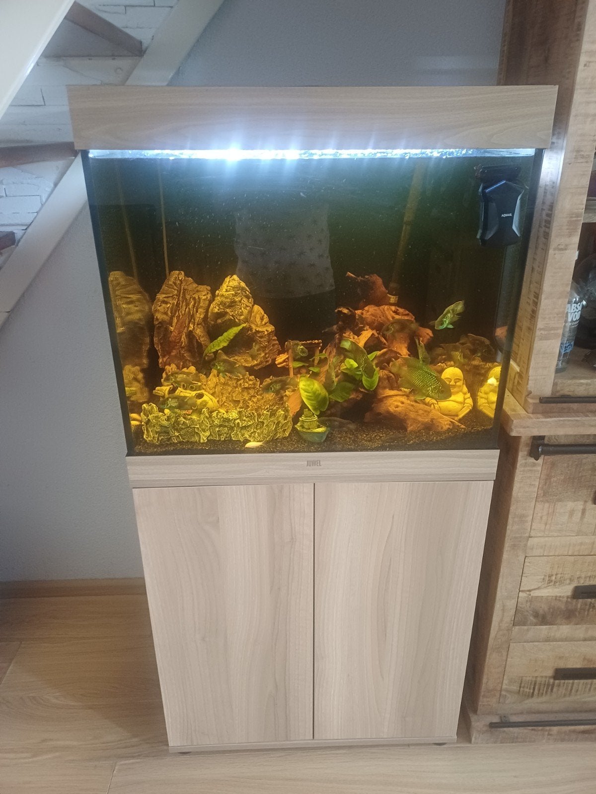 Aquarium met vissen 200 l., Ophalen, Gebruikt, Verlichting of Verwarming