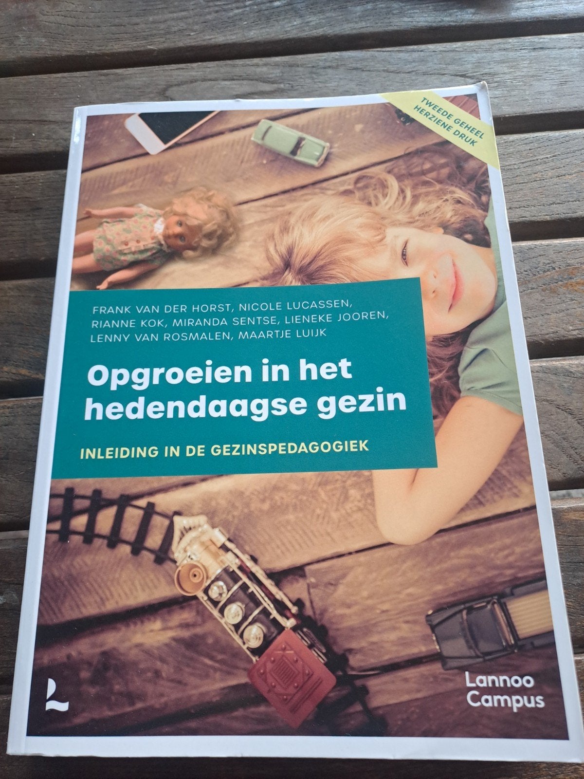 Opgroeien in het hedendaagse gezin - Inl. Gezinspedagogi, Boeken, Gamma, HBO, Ophalen of Verzenden, Frank van der Horst, Nicole Lucassen, Rianne Kok, Miranda Sentse