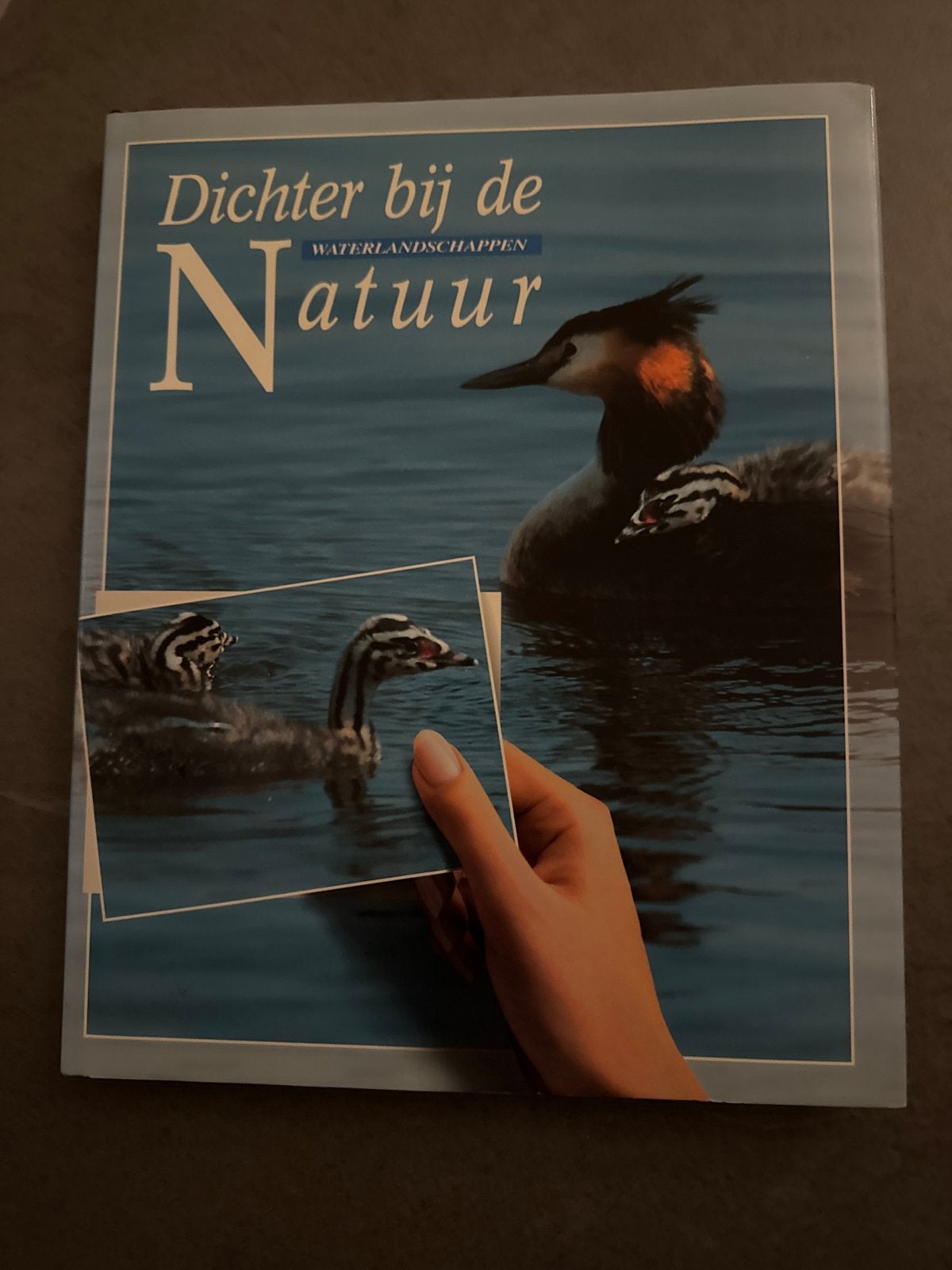 Dichter bij de Natuur: Waterlandschappen (Verkade), Ophalen of Verzenden, Zo goed als nieuw, Vogels