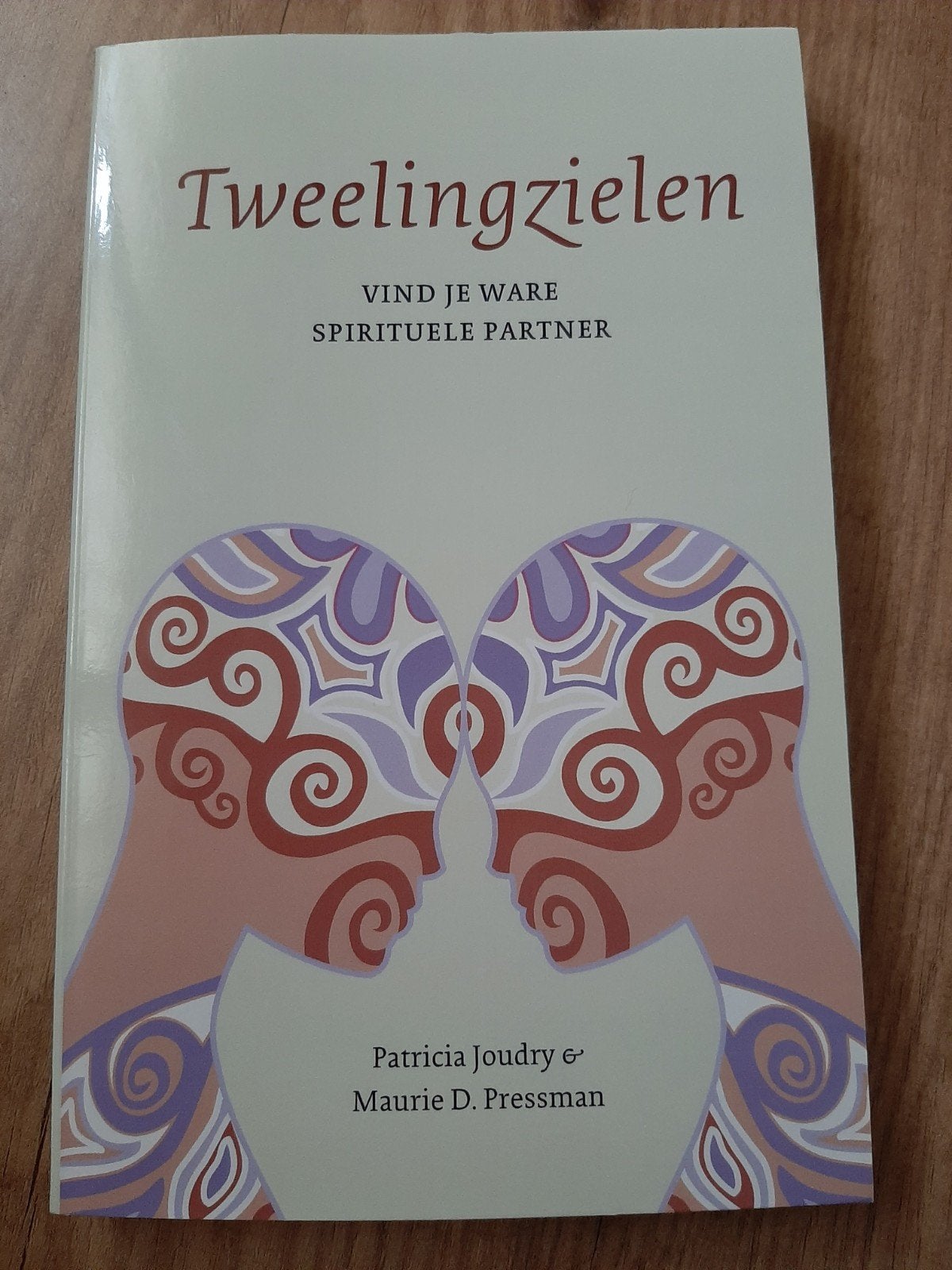 Tweelingzielen: Vind je ware spirituele partner - Nieuw boek, Boeken, Esoterie en Spiritualiteit, Achtergrond en Informatie, Spiritualiteit algemeen