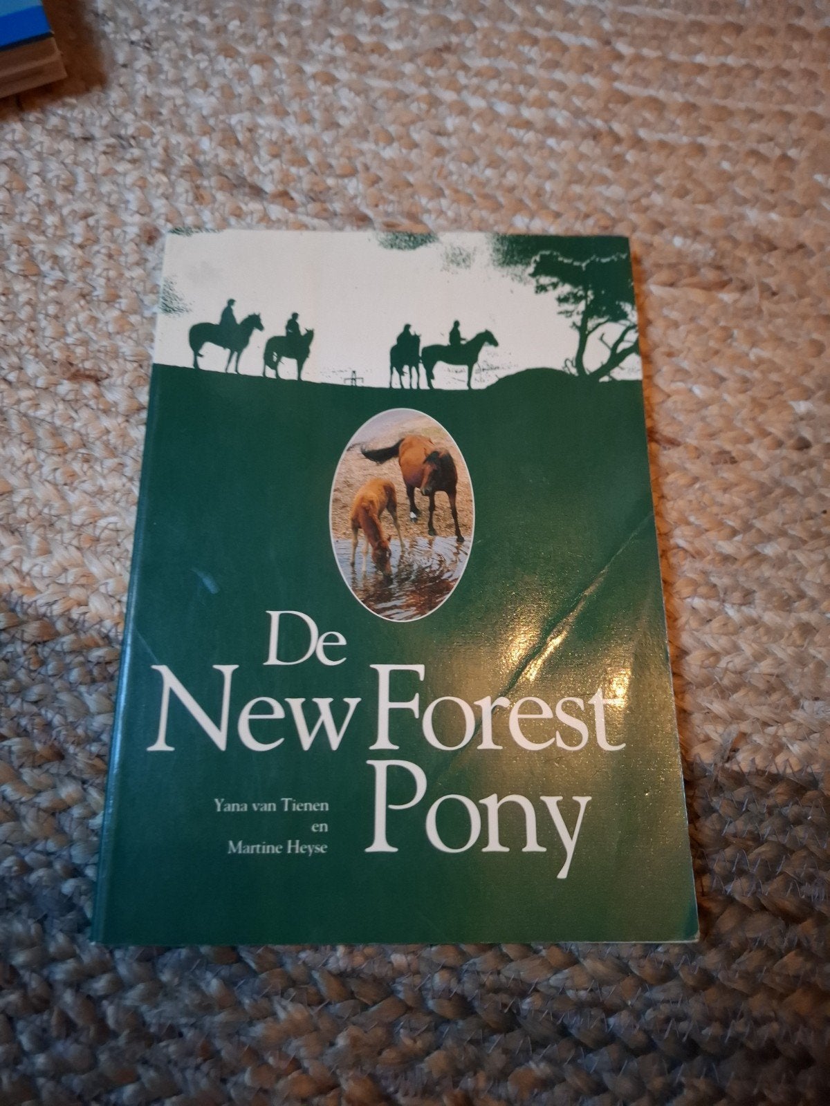 De New Forest Pony - Boek over paardenras, Ophalen of Verzenden, Gelezen, Paarden of Pony's, Yana van Tienen en Martine Heyse