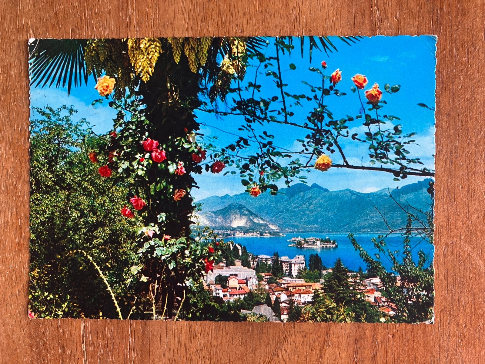 Lago Maggiore - Stresa - Panorama - Italië, Ophalen of Verzenden, 1960 tot 1980, Gelopen, Italië