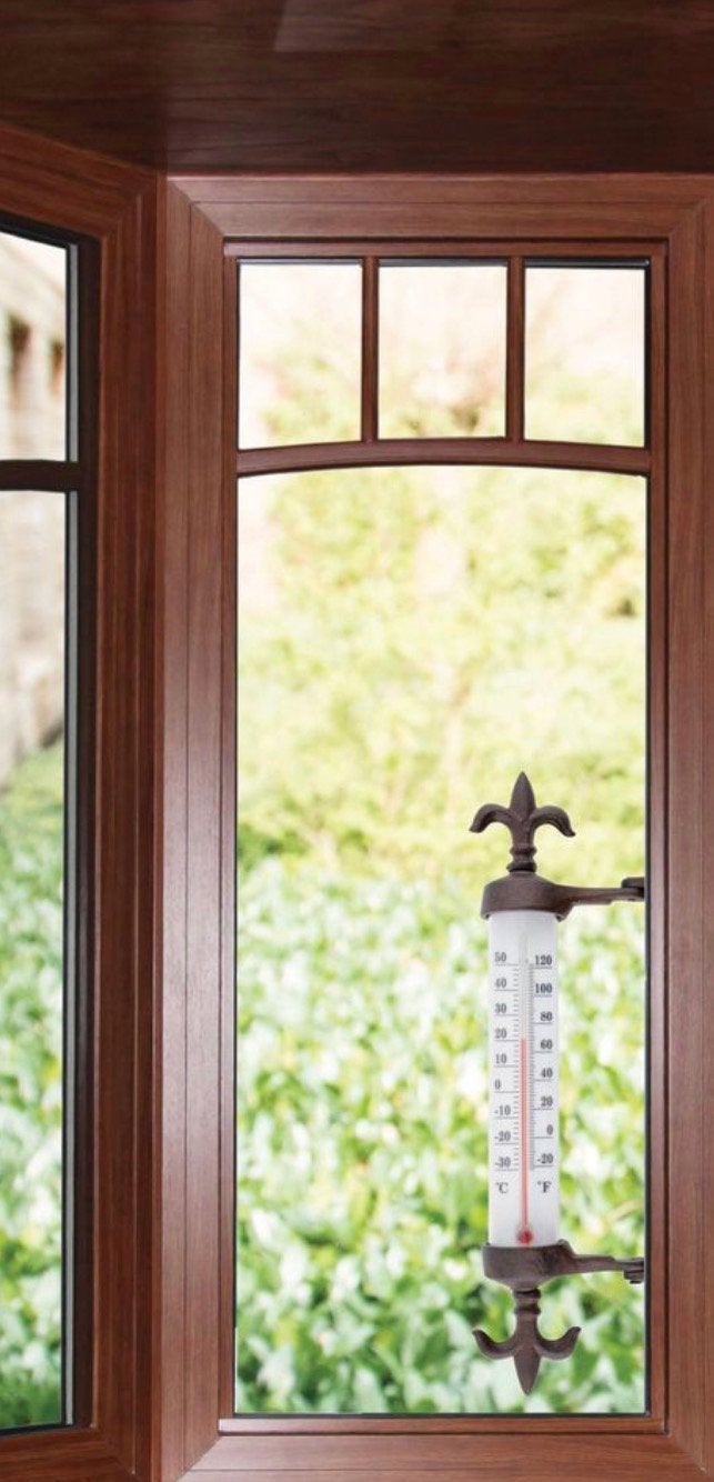 Thermometer, Ophalen of Verzenden, Nieuw