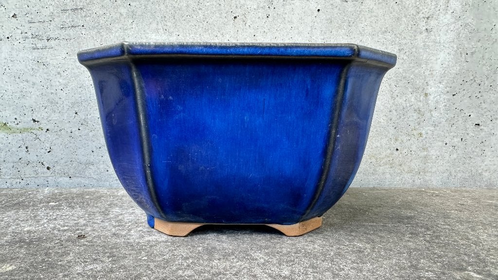 Fuji Japan | Cascade bonsai schaal pot 15x15x8,5cm (5*), Ophalen of Verzenden, Aardewerk, Minder dan 25 cm, Minder dan 40 cm
