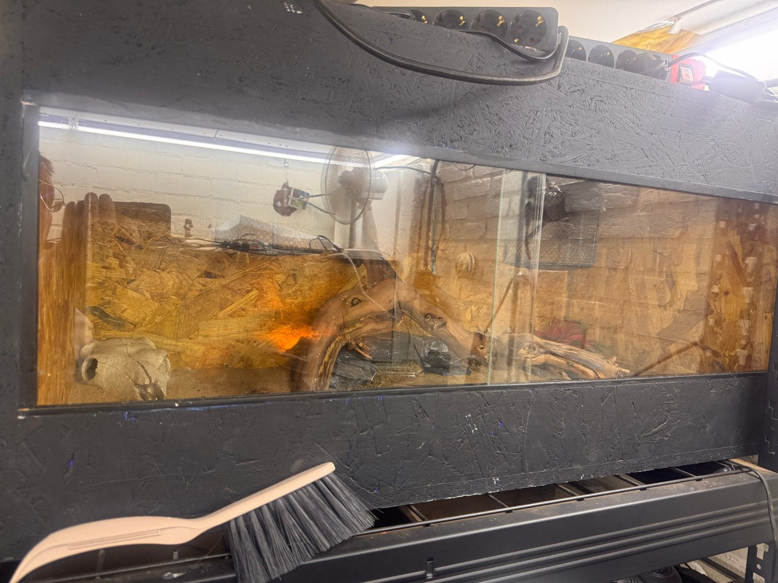 Terraium 90x40x50 OSB, Ophalen