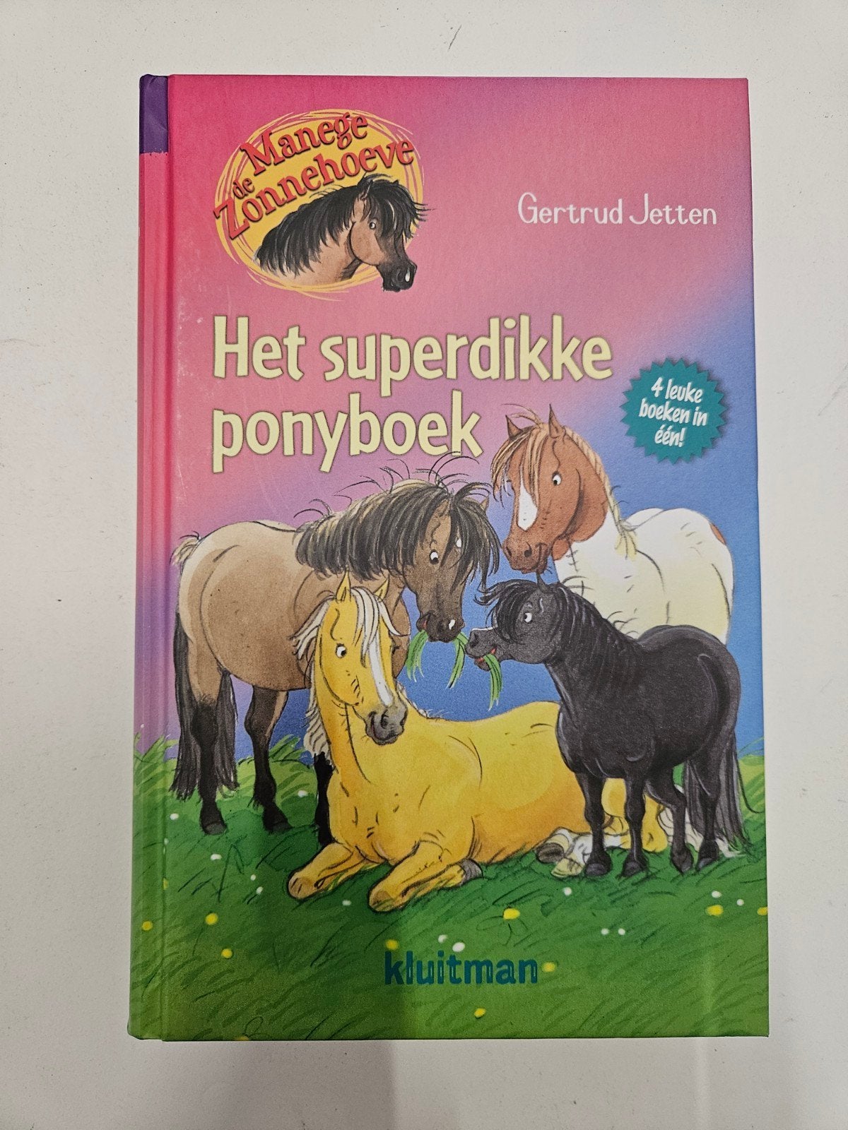 Gertrud Jetten - Het superdikke ponyboek, Fictie algemeen, Ophalen of Verzenden, Zo goed als nieuw, Gertrud Jetten