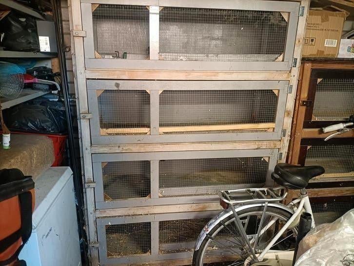 4 verdieping flat knaagdieren, Ophalen
