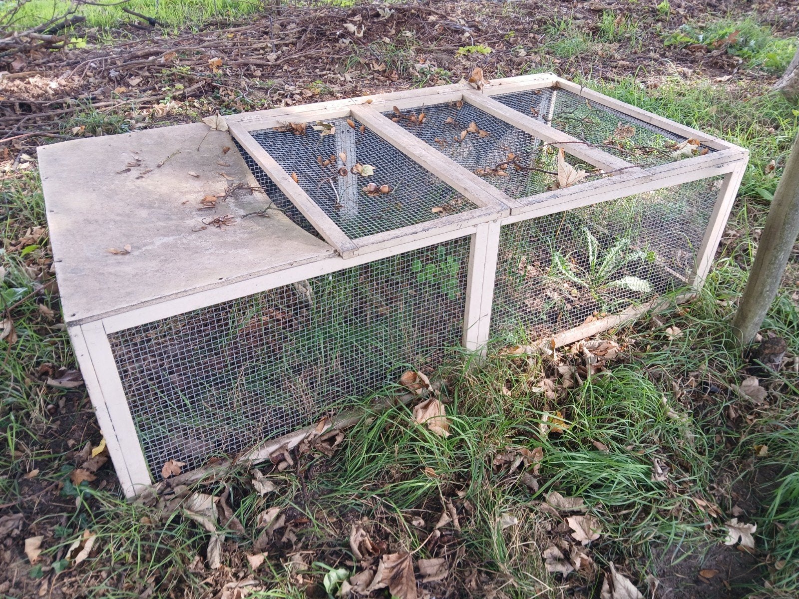 Gratis buitenren voor kleinvee, Ophalen, 110 cm of meer, Ren